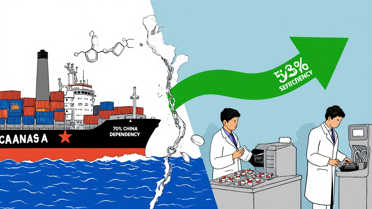 中国から輸入される有効成分をインドが薬に変える様子と自給率向上の目標を示すイラスト。