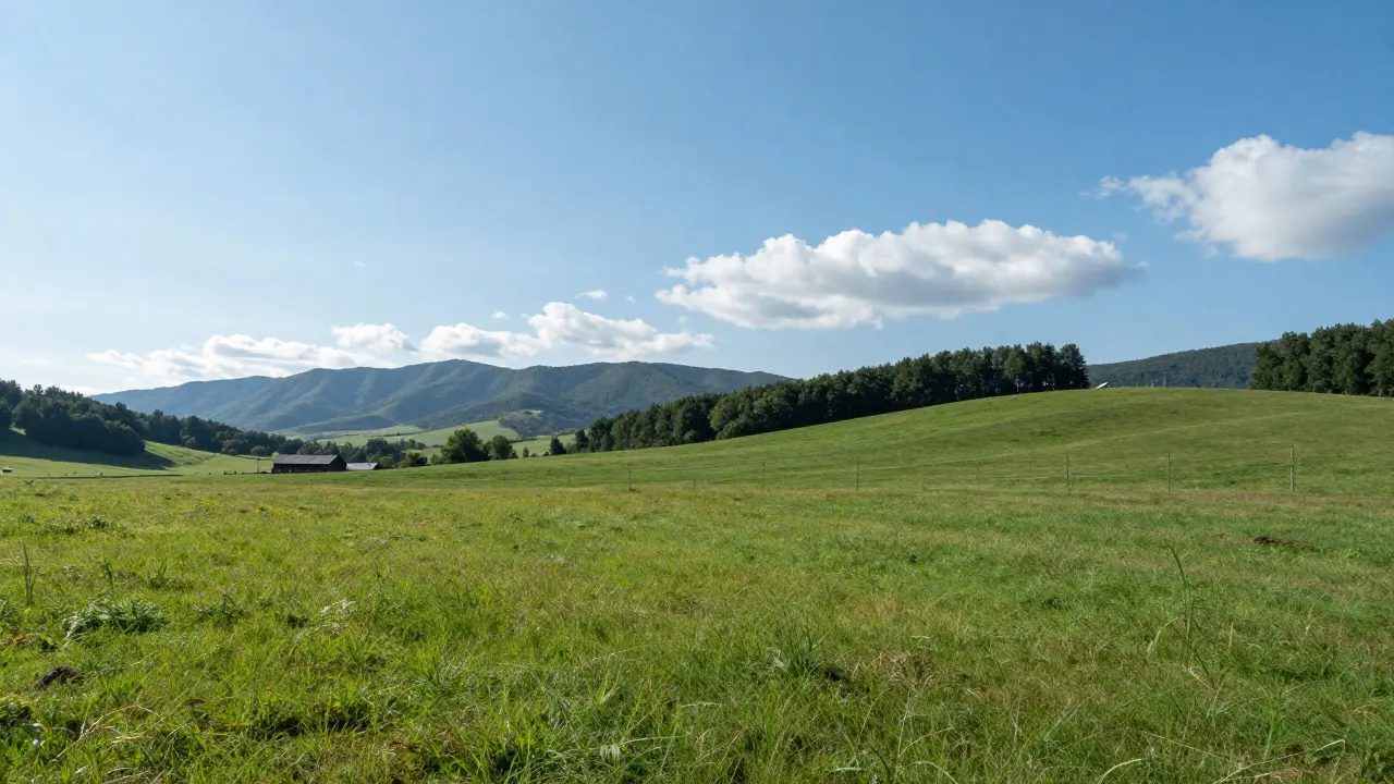 オンライン購入のステップ・チェックリスト